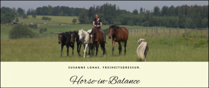 Horse-in-Balance Homepage