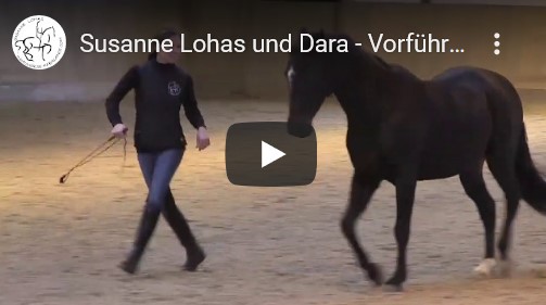 susanne_lohas_freiheitsdressur_liberty_horse_dressage_video_vorfuehrung_linslerhof_dara_neu