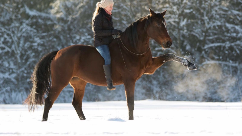 Spanischer Schritt im Schnee Susanne Lohas und Billy - Spanischer Schritt im Schnee